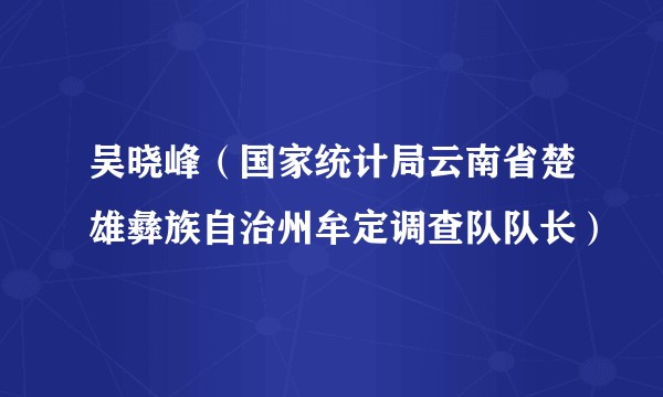 吴晓峰（国家统计局云南省楚雄彝族自治州牟定调查队队长）