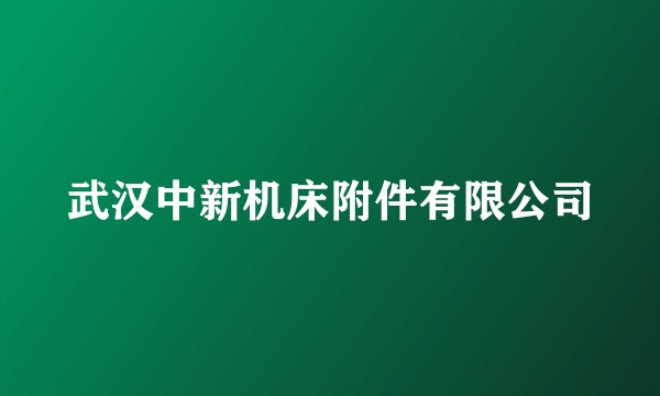 武汉中新机床附件有限公司
