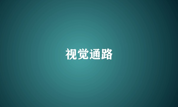 视觉通路
