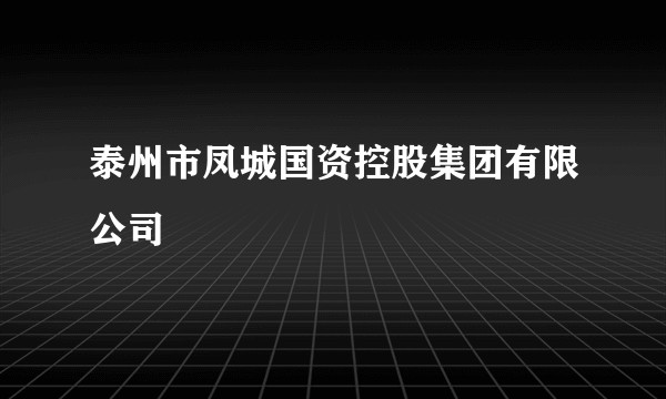 泰州市凤城国资控股集团有限公司
