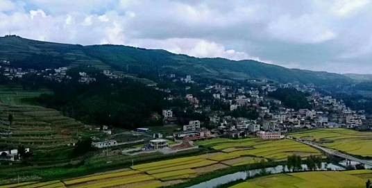 阿岗镇