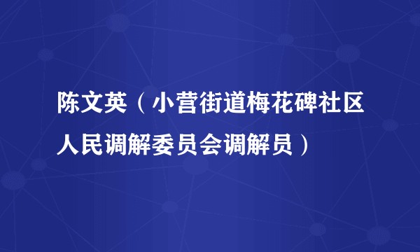 陈文英（小营街道梅花碑社区人民调解委员会调解员）