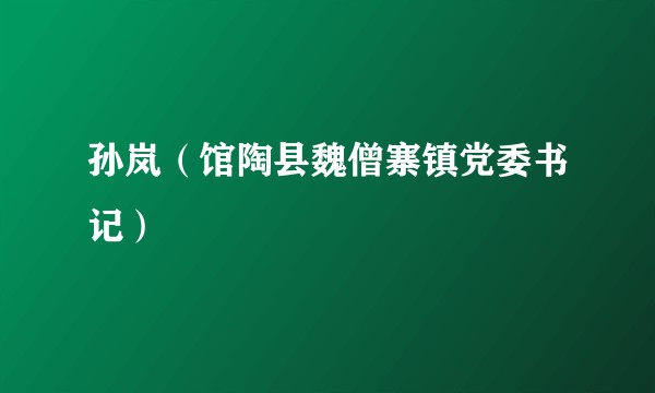 孙岚（馆陶县魏僧寨镇党委书记）