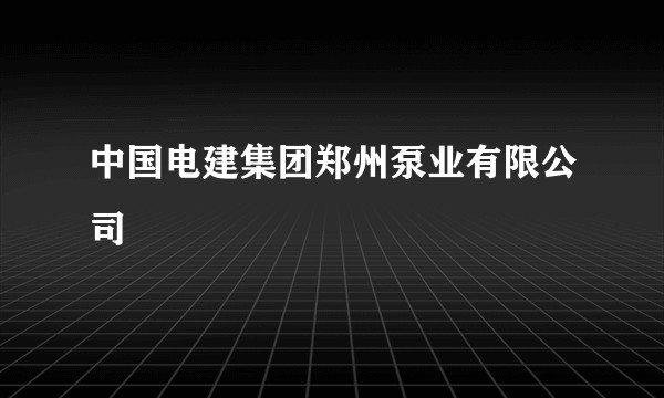中国电建集团郑州泵业有限公司