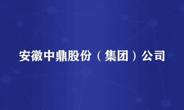 安徽中鼎股份（集团）公司