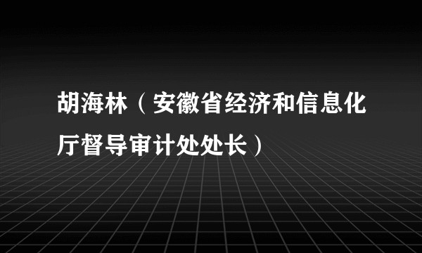 胡海林（安徽省经济和信息化厅督导审计处处长）