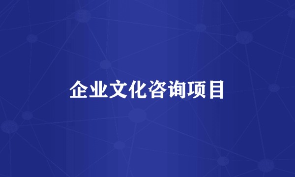 企业文化咨询项目