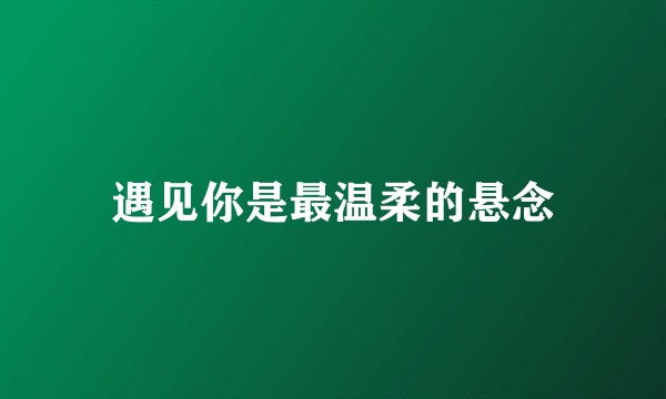 遇见你是最温柔的悬念