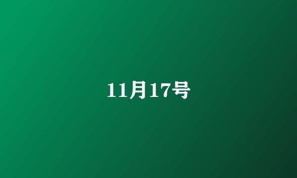 11月17号