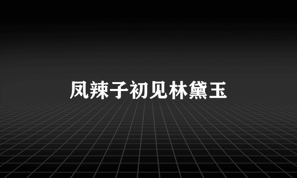 凤辣子初见林黛玉
