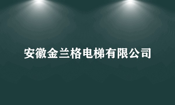 安徽金兰格电梯有限公司