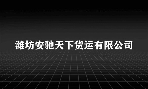 潍坊安驰天下货运有限公司