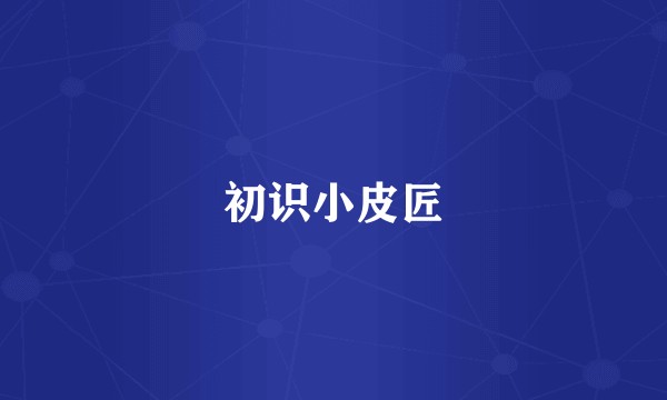 初识小皮匠