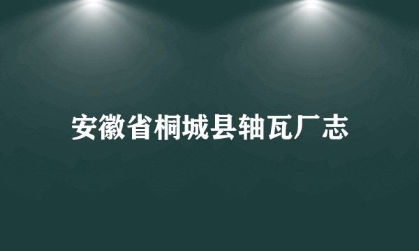 安徽省桐城县轴瓦厂志