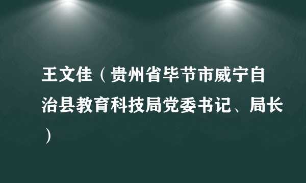 王文佳（贵州省毕节市威宁自治县教育科技局党委书记、局长）