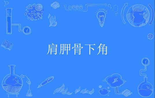 肩胛骨下角