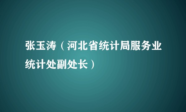 张玉涛（河北省统计局服务业统计处副处长）
