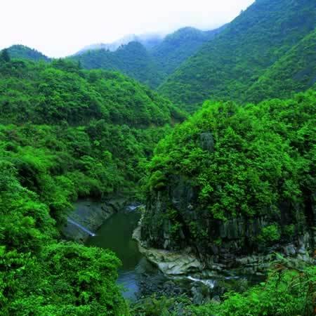 草根风水协会