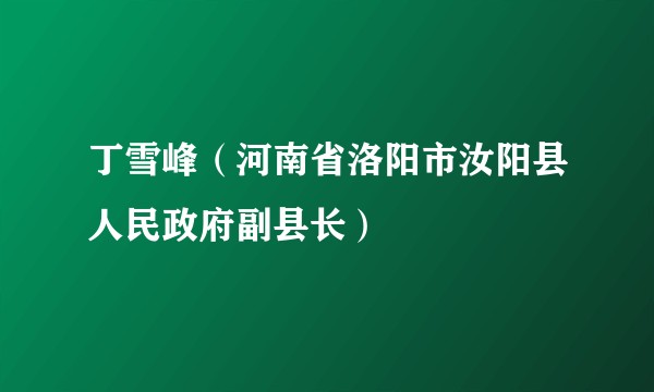 丁雪峰（河南省洛阳市汝阳县人民政府副县长）