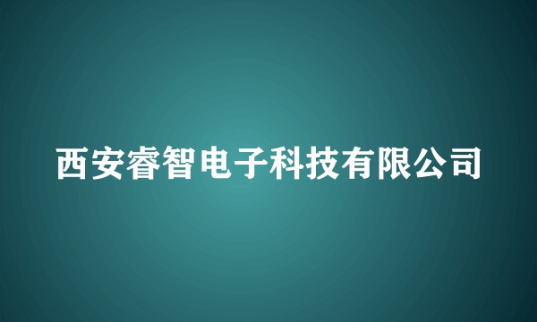 西安睿智电子科技有限公司