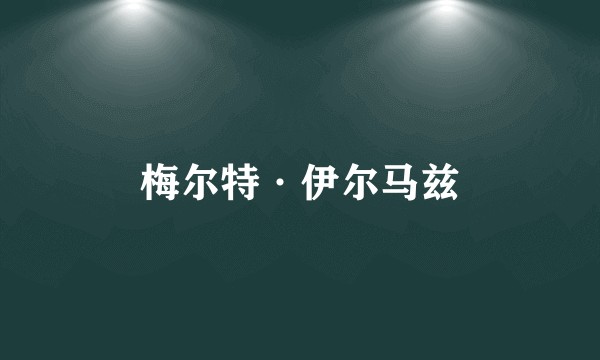 梅尔特·伊尔马兹