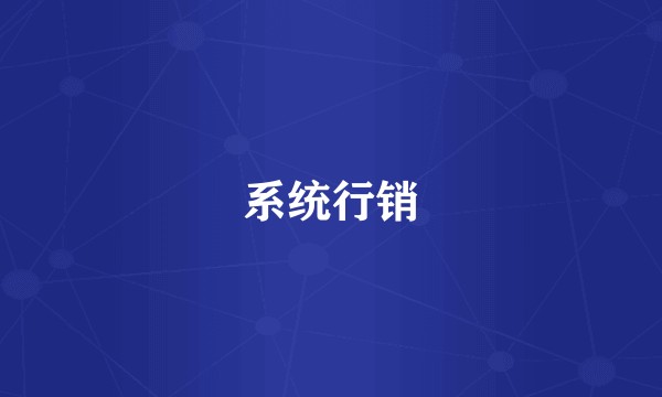 系统行销