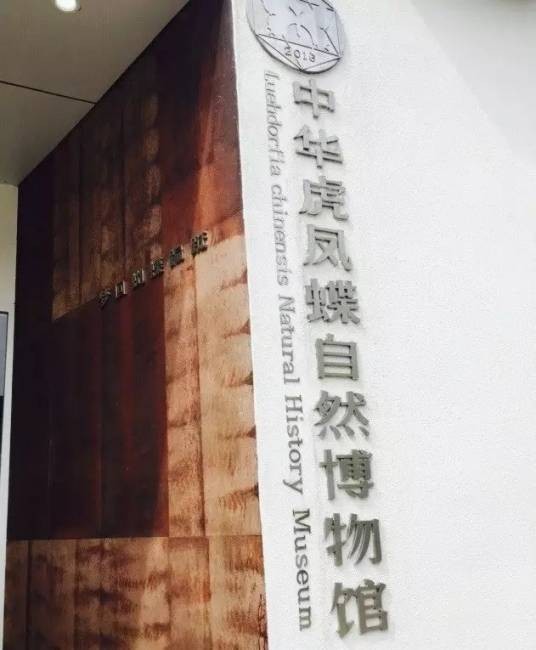 中华虎凤蝶自然博物馆