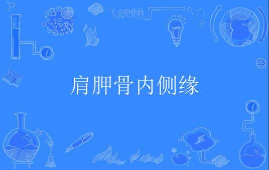 肩胛骨内侧缘