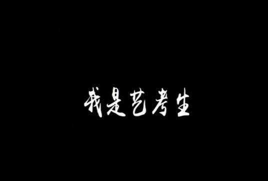 我是艺考生（纪录片）