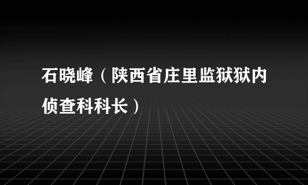 石晓峰（陕西省庄里监狱狱内侦查科科长）