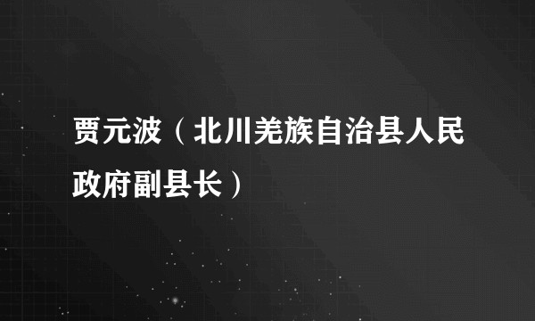 贾元波（北川羌族自治县人民政府副县长）