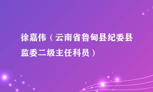 徐嘉伟（云南省鲁甸县纪委县监委二级主任科员）