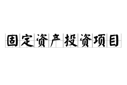 固定资产投资项目