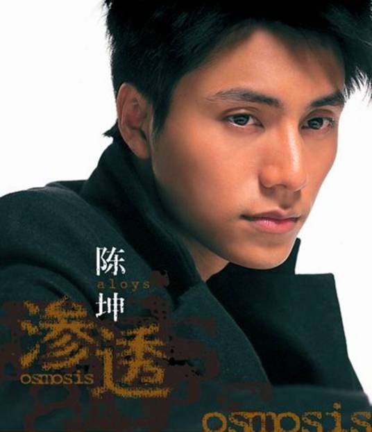 月半弯（2004年陈坤演唱歌曲）