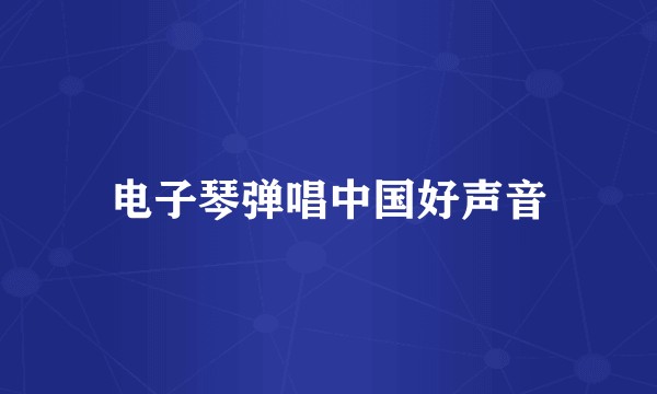 电子琴弹唱中国好声音