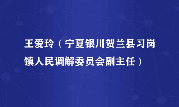王爱玲（宁夏银川贺兰县习岗镇人民调解委员会副主任）