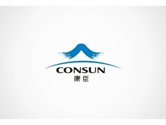 广州康臣药业有限公司
