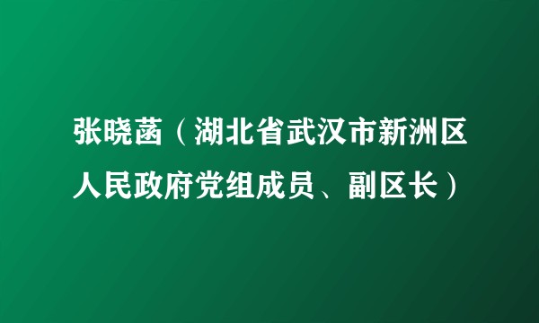 张晓菡(湖北省武汉市新洲区人民政府党组成员、副区长)