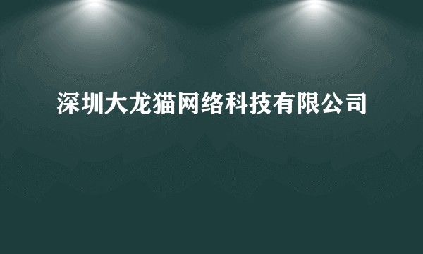 深圳大龙猫网络科技有限公司