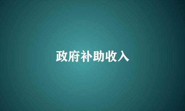 政府补助收入