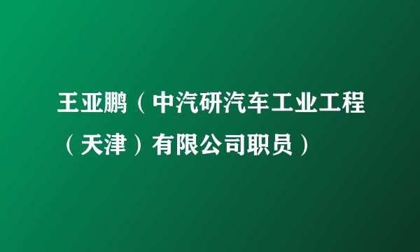 王亚鹏（中汽研汽车工业工程（天津）有限公司职员）