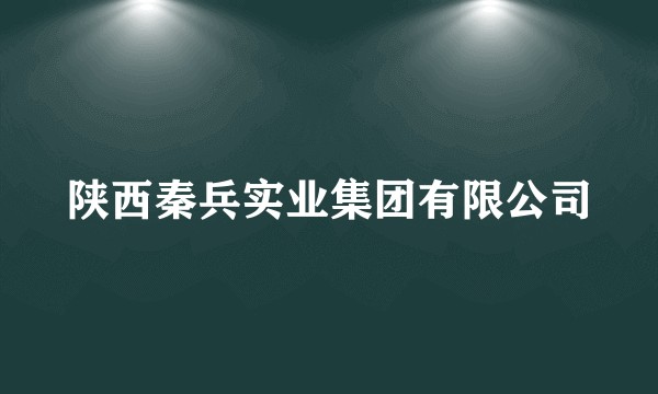 陕西秦兵实业集团有限公司