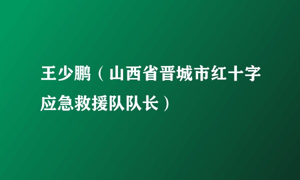 王少鹏（山西省晋城市红十字应急救援队队长）