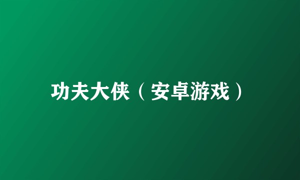 功夫大侠（安卓游戏）
