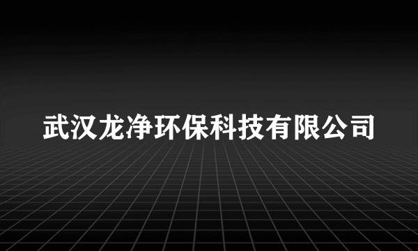 武汉龙净环保科技有限公司
