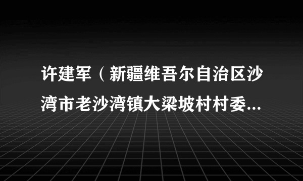 许建军（新疆维吾尔自治区沙湾市老沙湾镇大梁坡村村委会主任）