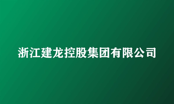 浙江建龙控股集团有限公司