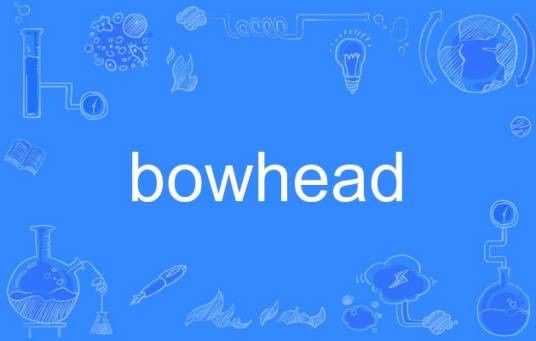 bowhead
