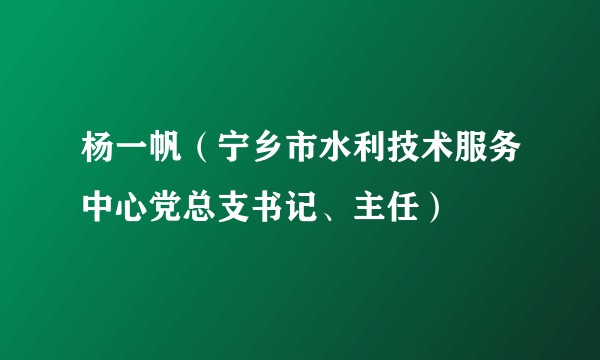 杨一帆（宁乡市水利技术服务中心党总支书记、主任）