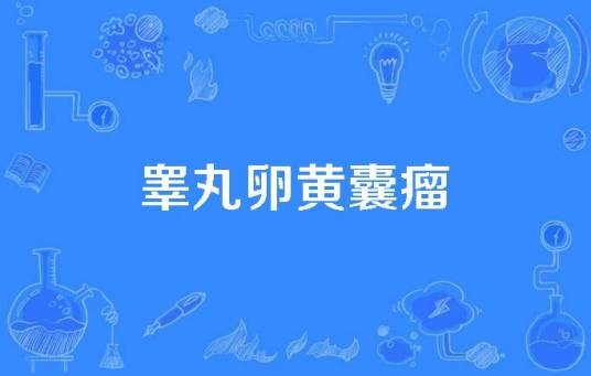 睾丸卵黄囊瘤